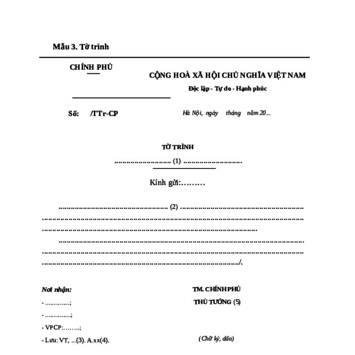 MẪU TỜ TRÌNH CỦA CHÍNH PHỦ