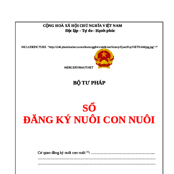 MẪU SỔ ĐĂNG KÝ NUÔI CON NUÔI