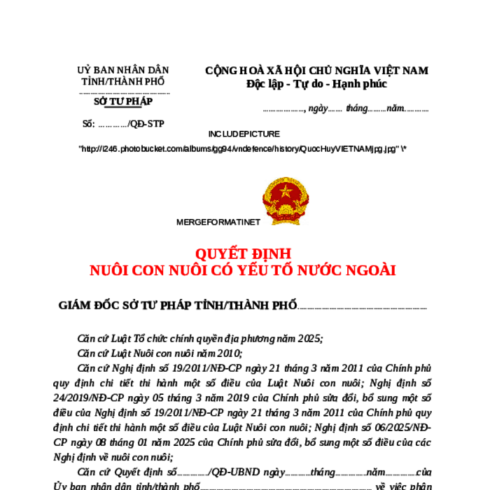 MẪU QUYẾT ĐỊNH NUÔI CON NUÔI CÓ YẾU TỐ NƯỚC NGOÀI (SỬ DỤNG CHO SỞ TƯ PHÁP, BẢN CHÍNH – CÓ NỘI DUNG)