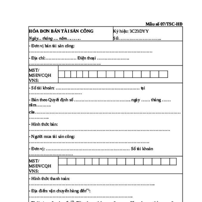MẪU HÓA ĐƠN BÁN TÀI SẢN CÔNG CỦA CHÍNH PHỦ