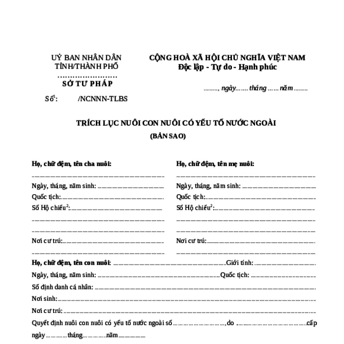 MẪU TRÍCH LỤC NUÔI CON NUÔI CÓ YẾU TỐ NƯỚC NGOÀI (BẢN SAO)