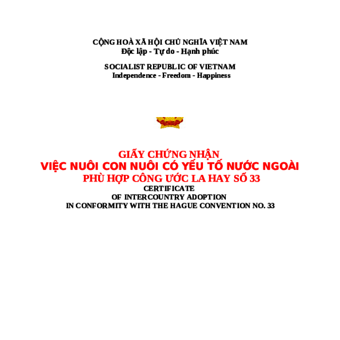 MẪU GIẤY CHỨNG NHẬN VIỆC NUÔI CON NUÔI CÓ YẾU TỐ NƯỚC NGOÀI PHÙ HỢP CÔNG ƯỚC LA HAY SỐ 33 (BẢN CHÍNH - PHÔI, KHÔNG CÓ NỘI DUNG)