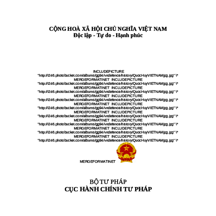 MẪU GIẤY PHÉP HOẠT ĐỘNG CỦA TỔ CHỨC CON NUÔI NƯỚC NGOÀI TẠI VIỆT NAM
