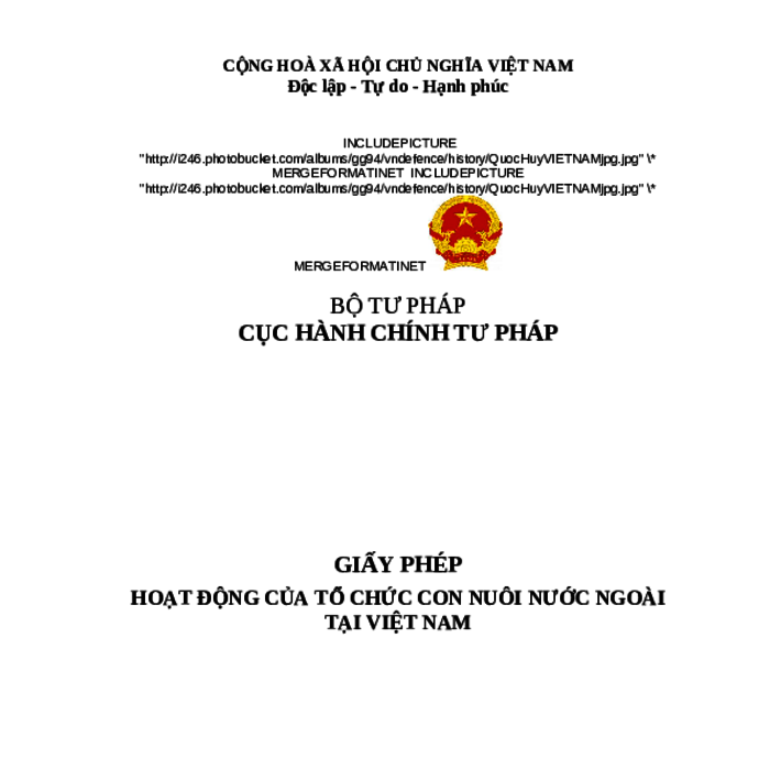 MẪU GIẤY PHÉP HOẠT ĐỘNG CỦA TỔ CHỨC CON NUÔI NƯỚC NGOÀI TẠI VIỆT NAM (BẢN CHÍNH - PHÔI, KHÔNG CÓ NỘI DUNG)