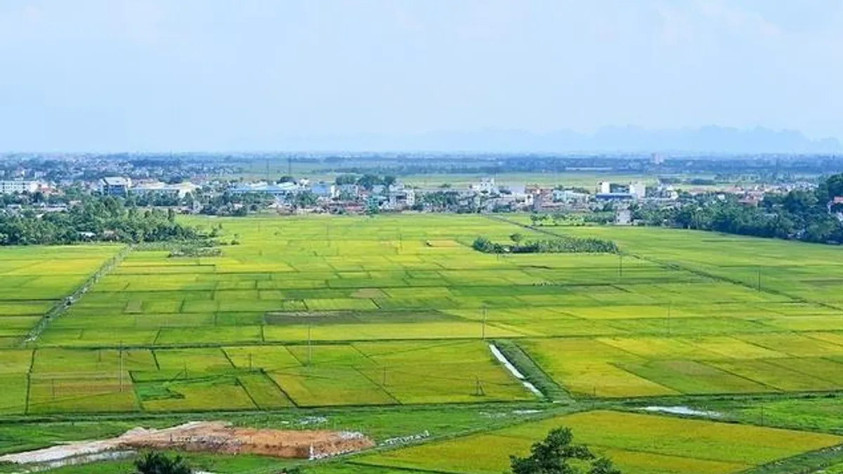 Thực trạng quản lý đất đai