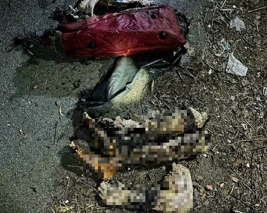 Tìm thấy thêm tứ chi ở nhiều vị trí khác nhau