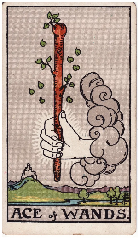 Những chi tiết trong lá bài Ace of Wands thể hiện điều gì?