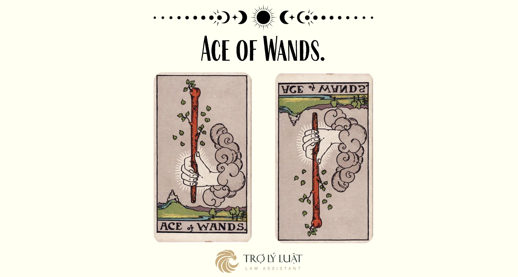Ý nghĩa của Ace of Wands khi trải bài là gì?