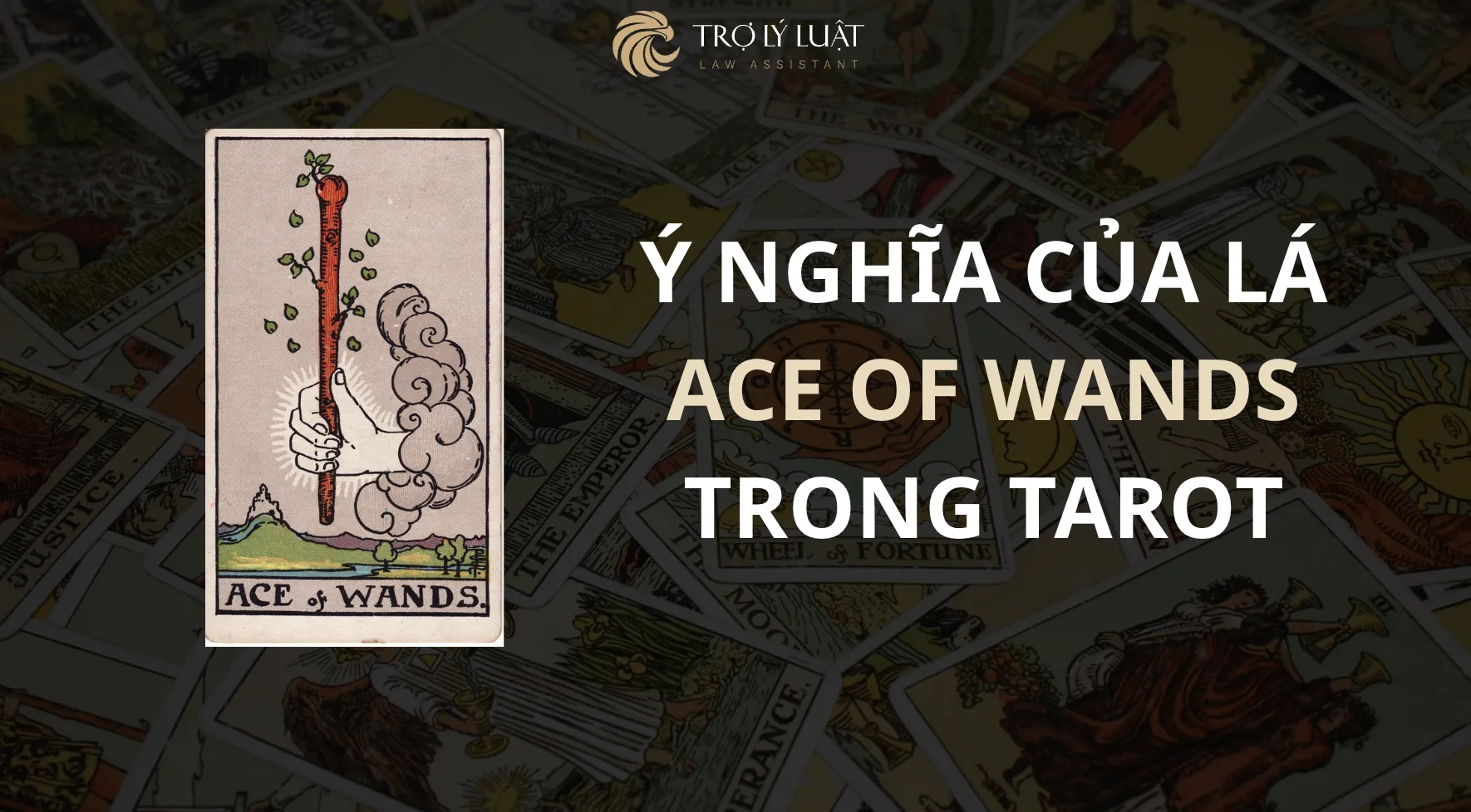 Lá bài Ace of Wands trong Tarot mang ý nghĩa gì?