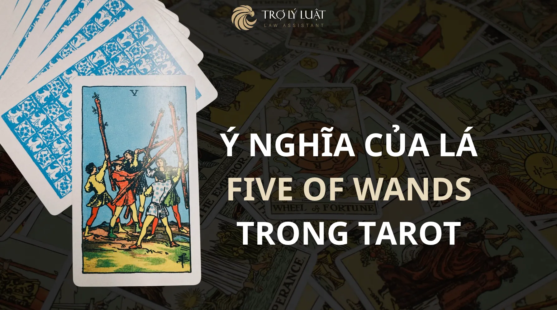 Lá bài Five of Wands trong Tarot mang ý nghĩa gì?