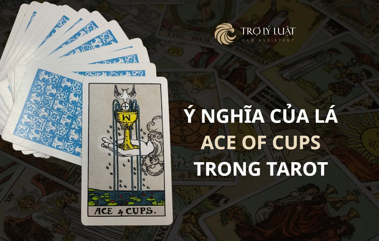 Lá bài Ace of Cups ( Một Cúp ) trong Tarot mang ý nghĩa gì?