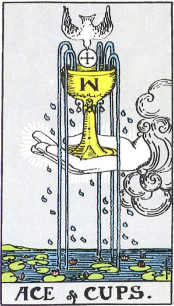 Những chi tiết trong lá bài Ace of Cups thể hiện điều gì?