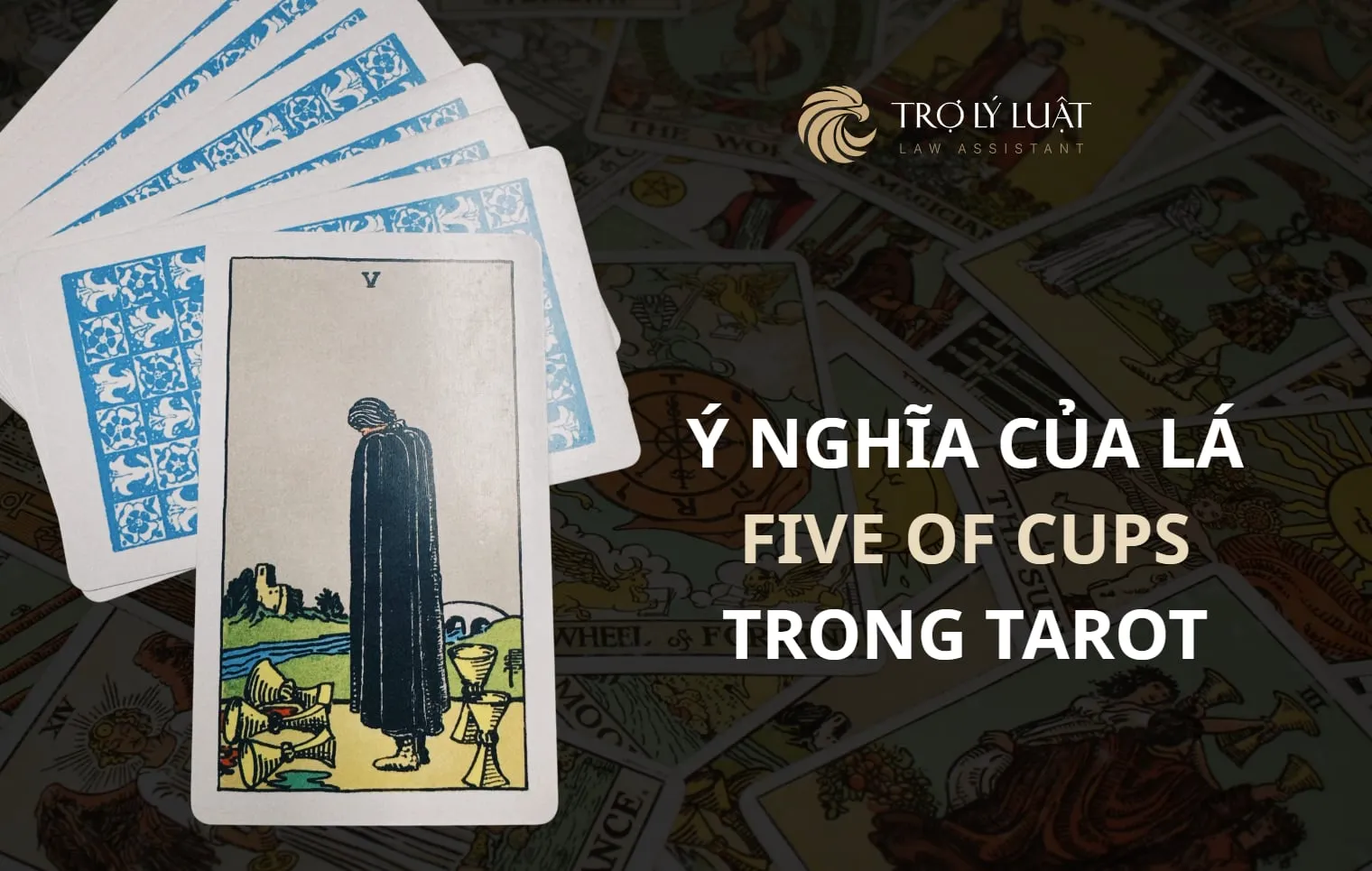 Lá bài Five of Cups ( Năm Cúp ) trong Tarot mang nghĩa gì?