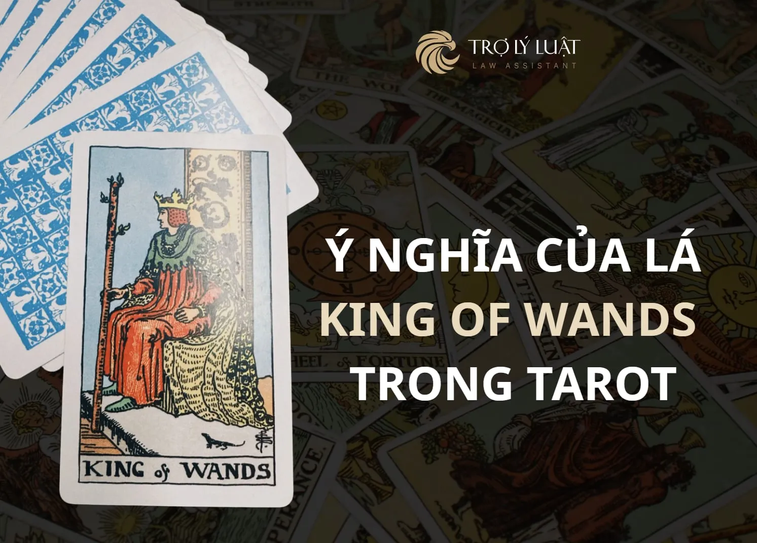 Lá bài King of Wands trong Tarot mang ý nghĩa gì?
