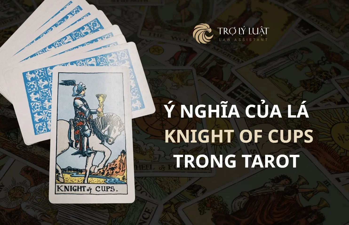 Lá bài Knight of Cups trong Tarot mang ý nghĩa gì?