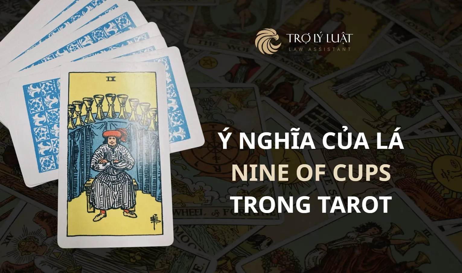 Lá bài Nine of Cups ( Chín Cúp ) trong Tarot mang ý nghĩa gì?