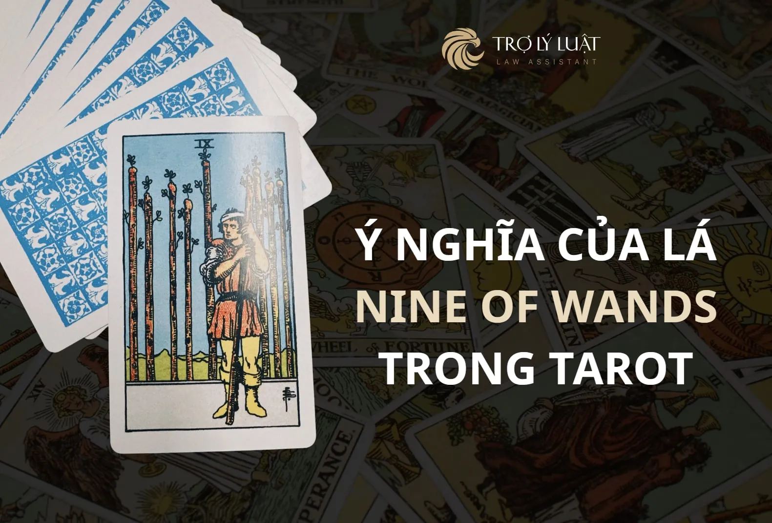 Lá bài Nine of Wands ( Chín Gậy ) trong Tarot mang ý nghĩa gì?