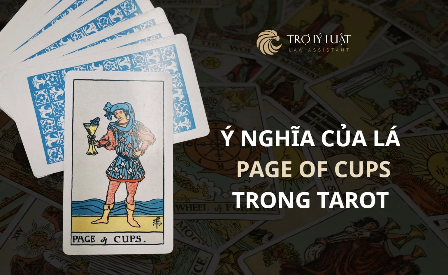 Lá bài Page of Cups trong Tarot mang ý nghĩa gì?