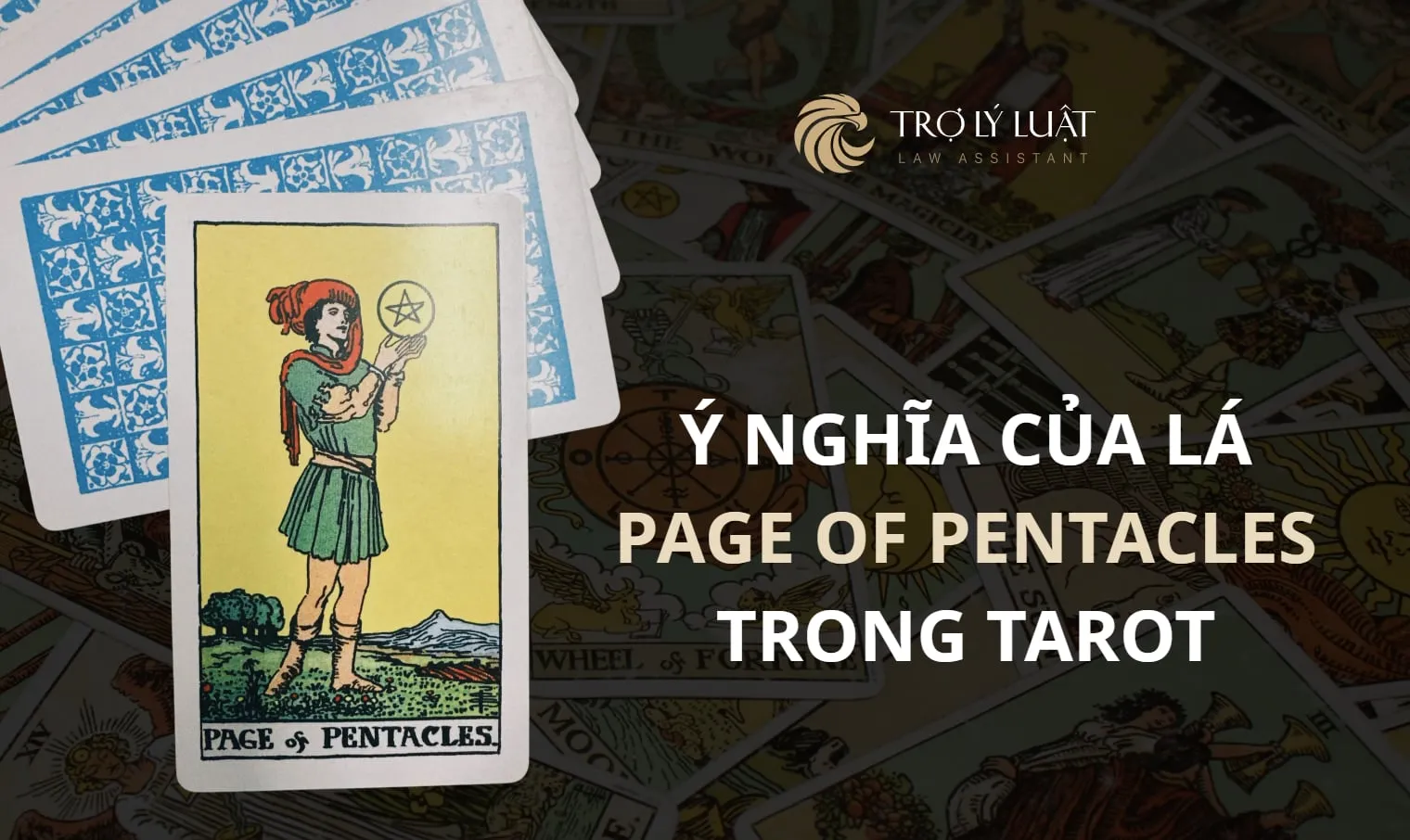 Lá bài Page of Pentacles trong Tarot mang ý nghĩa gì?