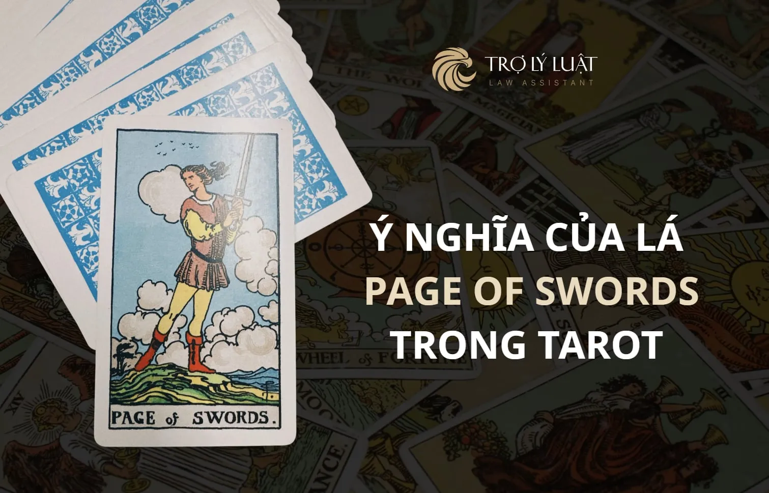 Lá bài Page of Swords trong Tarot mang ý nghĩa gì?