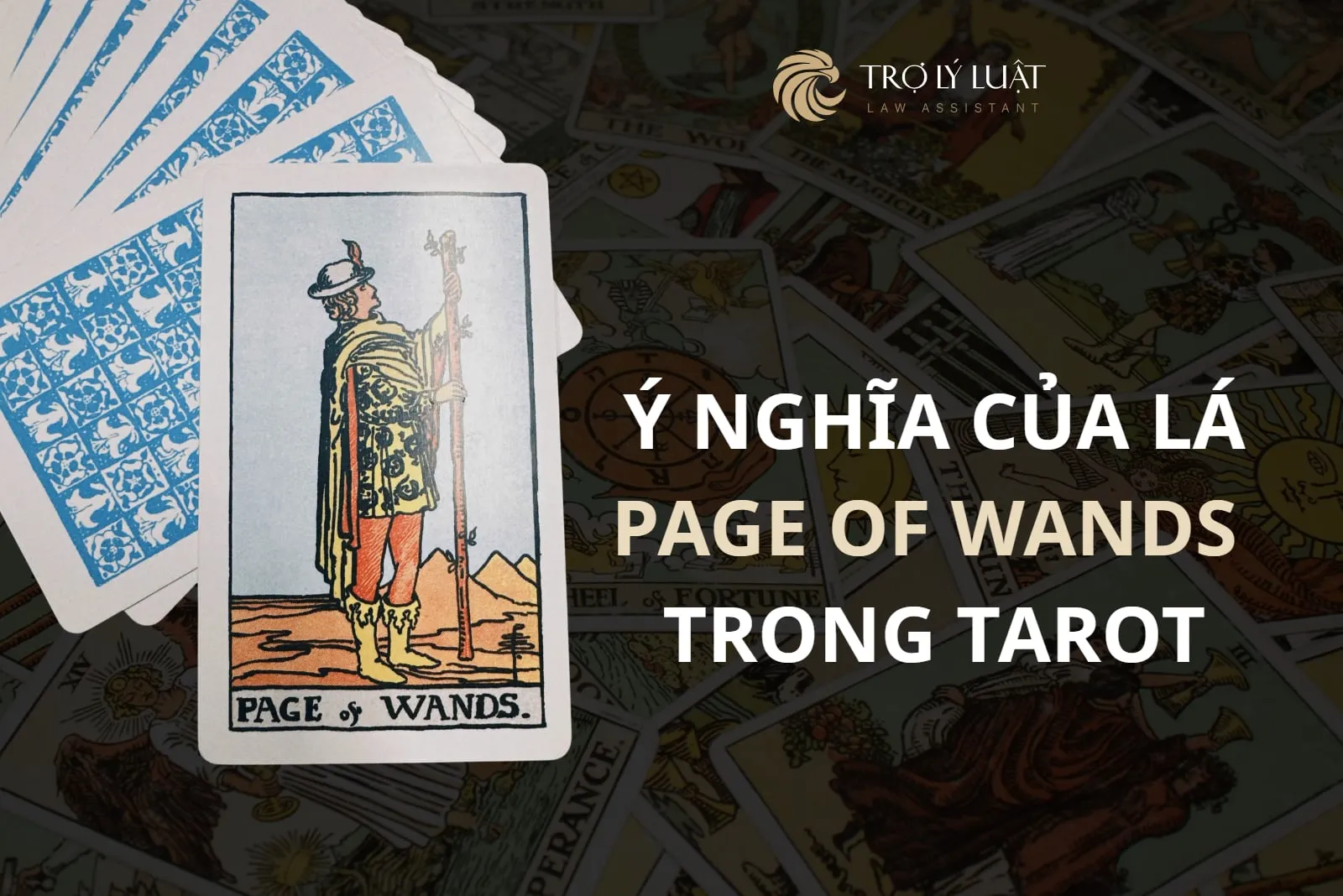 Lá bài Page of Wands trong Tarot mang ý nghĩa gì?