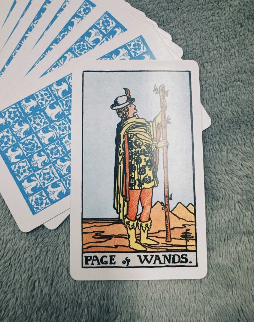 Câu chuyện về Page of Wands trong 78 lá bài Tarot