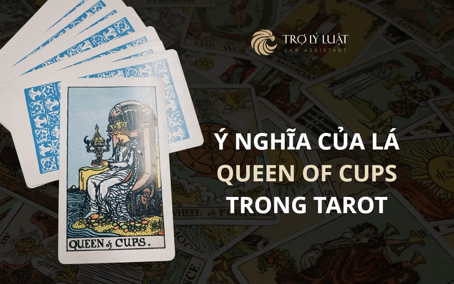 Lá bài Queen of Cups trong Tarot mang ý nghĩa gì?