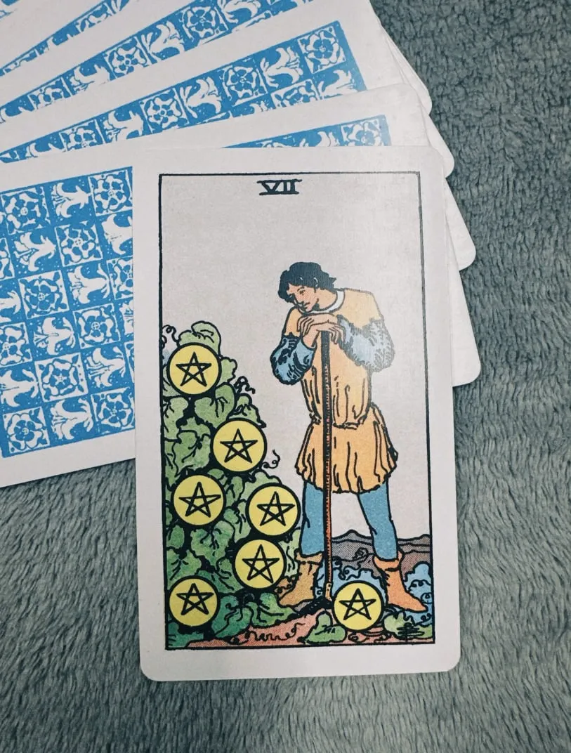 Câu chuyện về Seven of Pentacles trong 78 lá bài Tarot