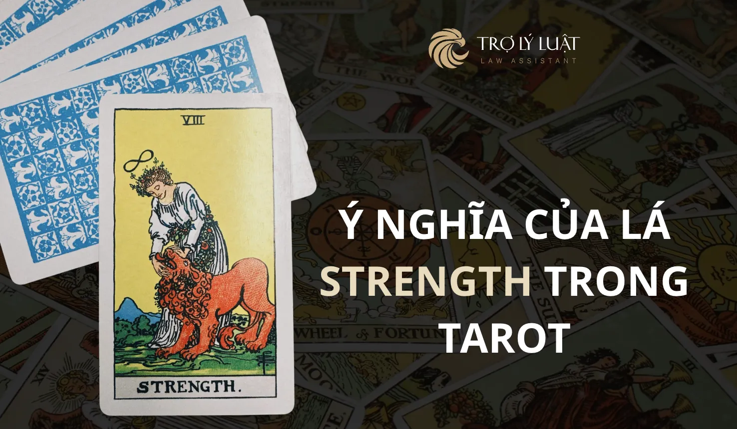 Lá bài Strength trong Tarot mang ý nghĩa gì?