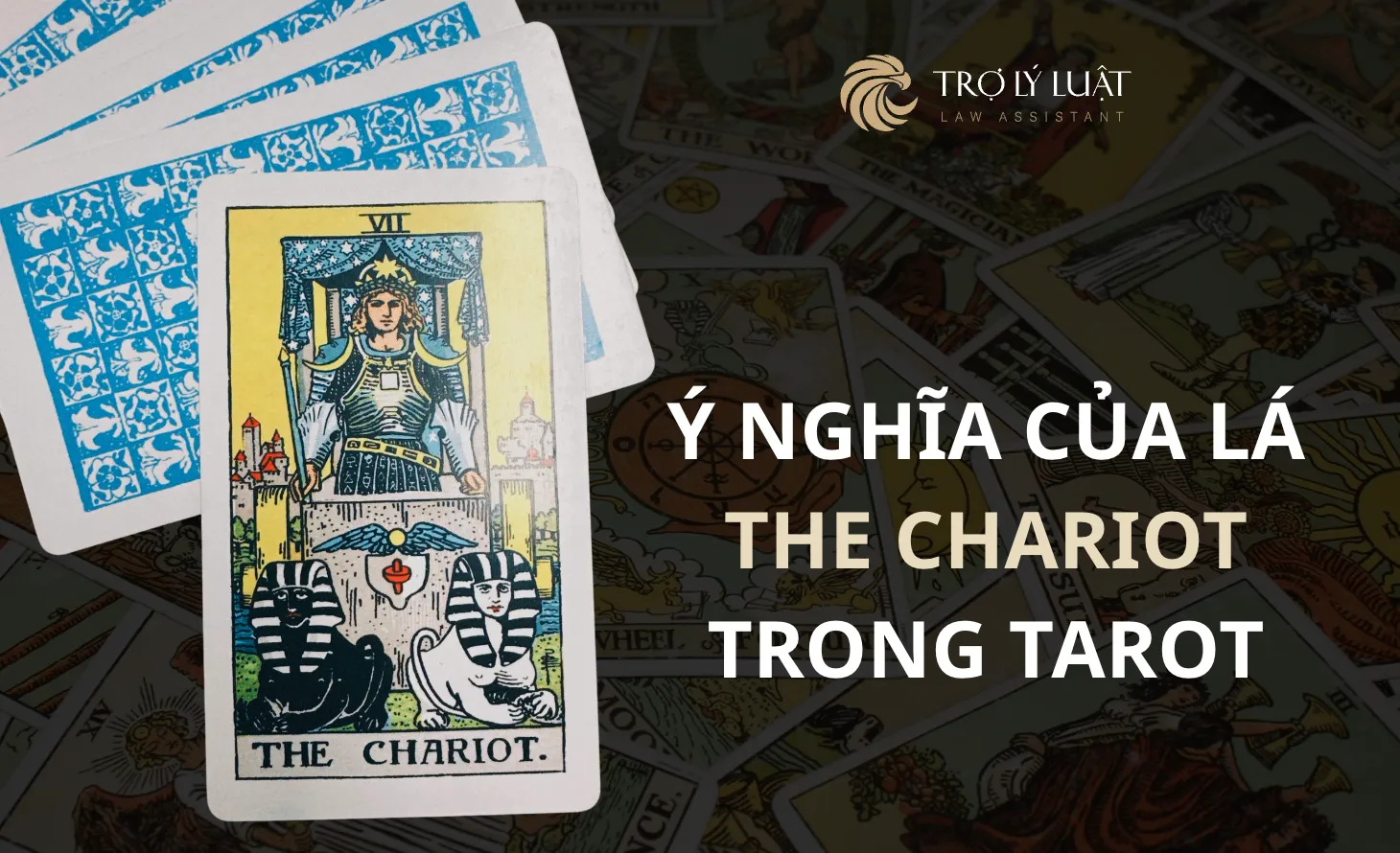 Lá bài The Chariot trong Tarot mang ý nghĩa gì?