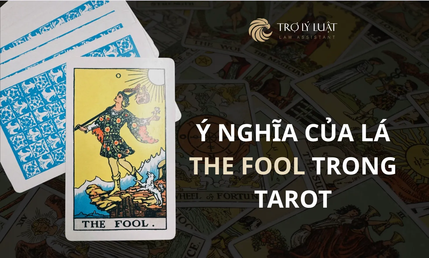 Lá bài The Fool trong Tarot mang ý nghĩa gì?