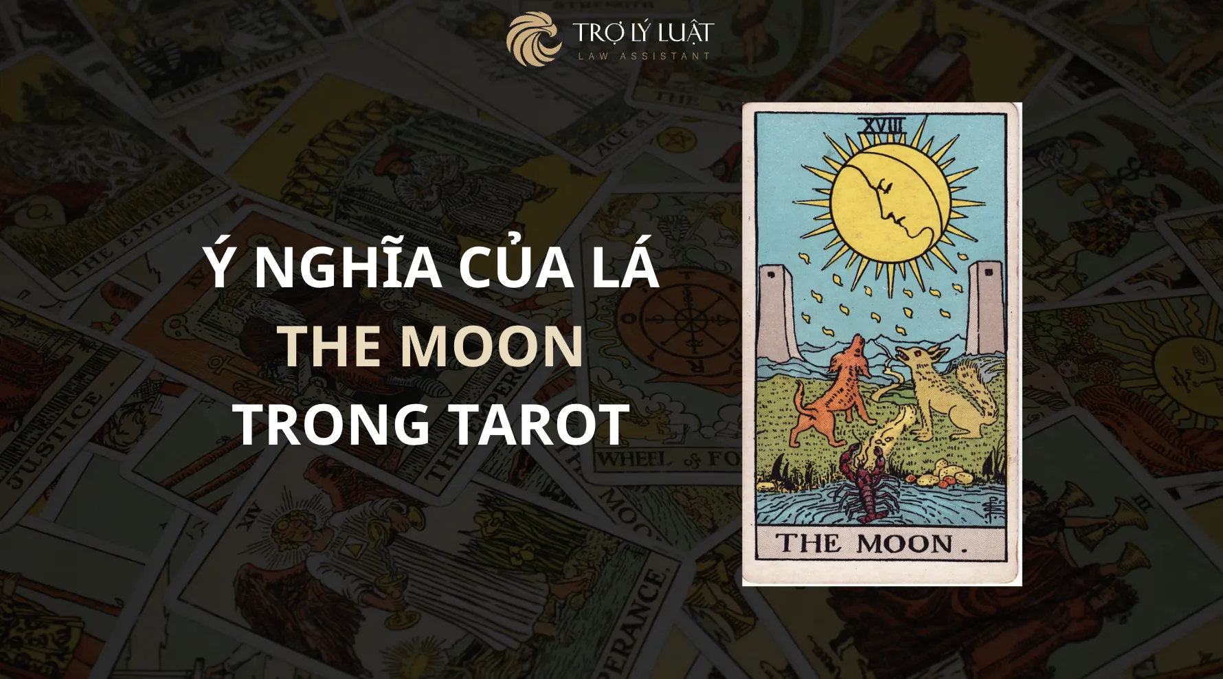 Lá bài The Moon trong Tarot mang ý nghĩa gì?