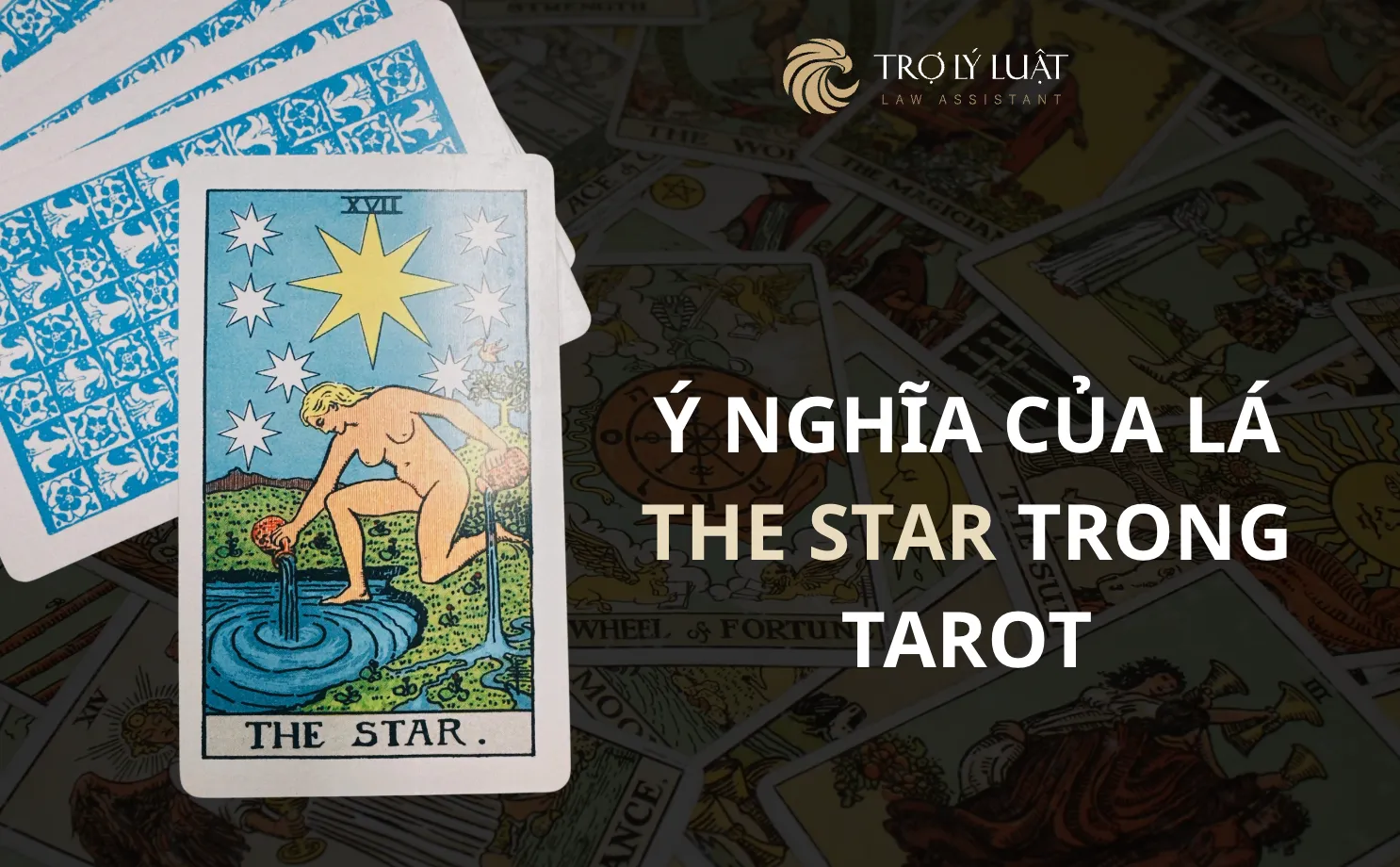 Lá bài The Star trong Tarot mang ý nghĩa gì?