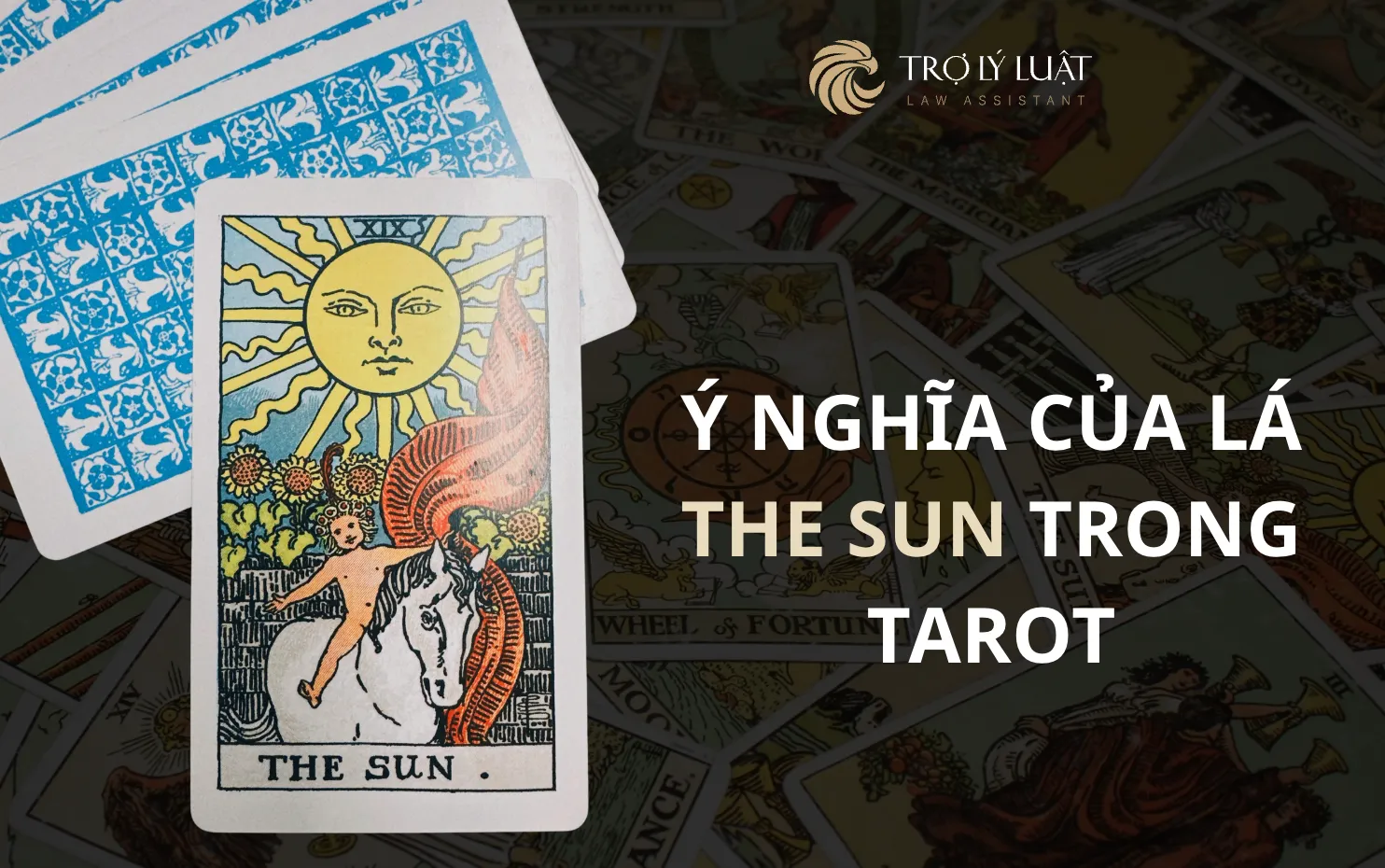 Lá bài The Sun trong Tarot mang ý nghĩa gì?