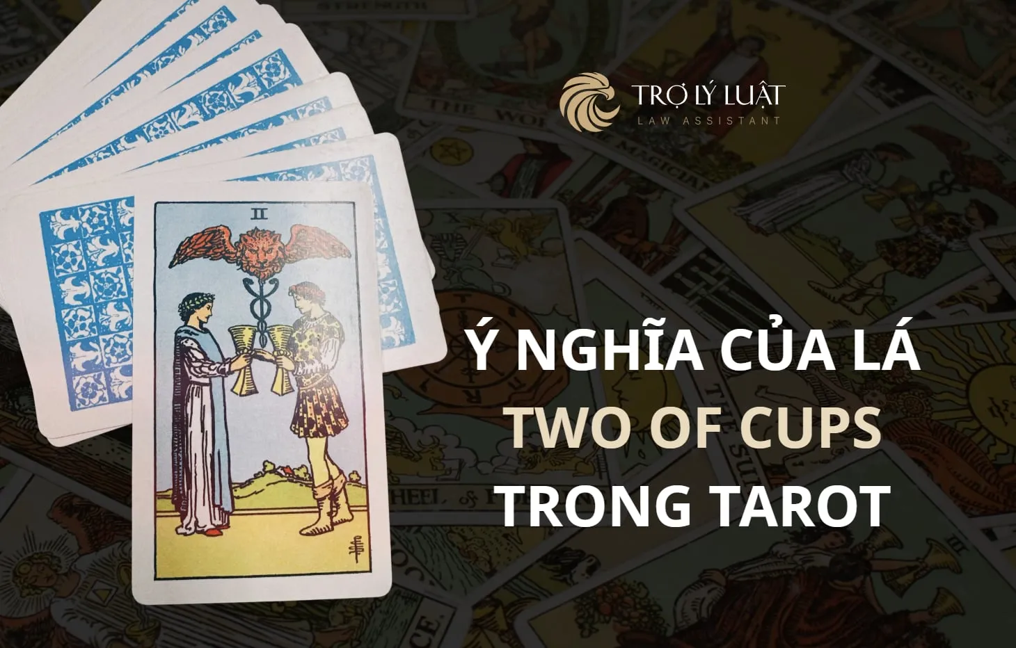 Lá bài Two of Cups ( Hai Cúp ) trong Tarot mang ý nghĩa gì?