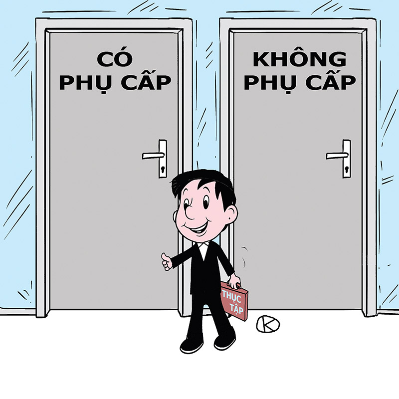 Doanh nghiệp có bắt buộc phải trả lương cho thực tập sinh không?