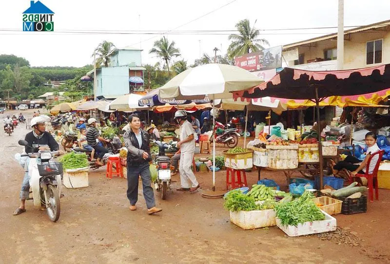 Xã Nghĩa Trung mới sau sáp nhập có gì nổi bật?