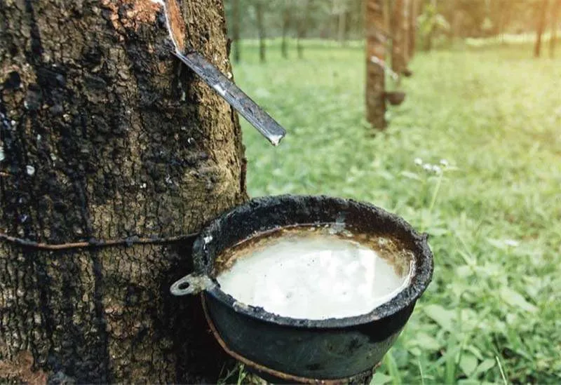 Xã Lộc Thiện cũ có gì nổi bật?