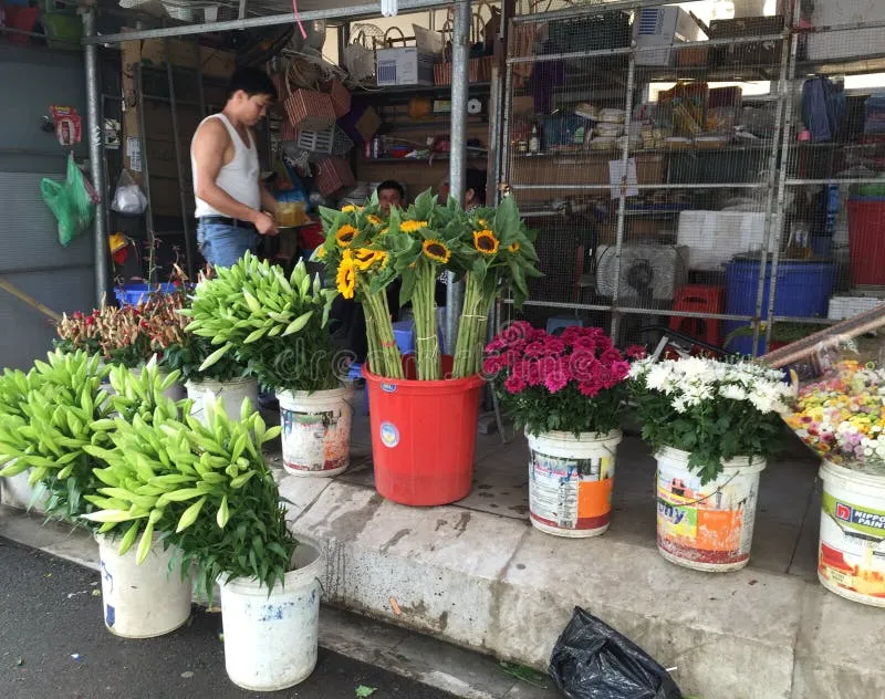 Xã Lộc Điền cũ có gì nổi bật?