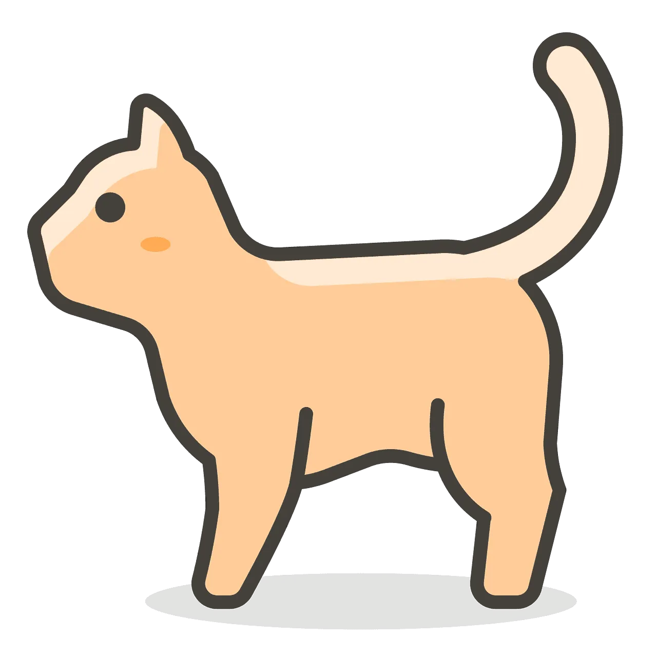 Mèo ta có dễ nuôi không?