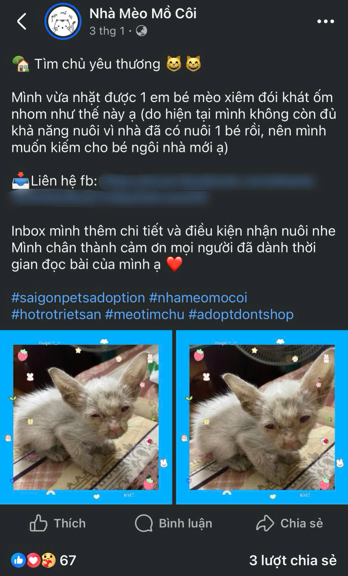 Tìm các trạm cứu hộ động vật (nếu không có thời gian và khả năng chăm sóc bé)