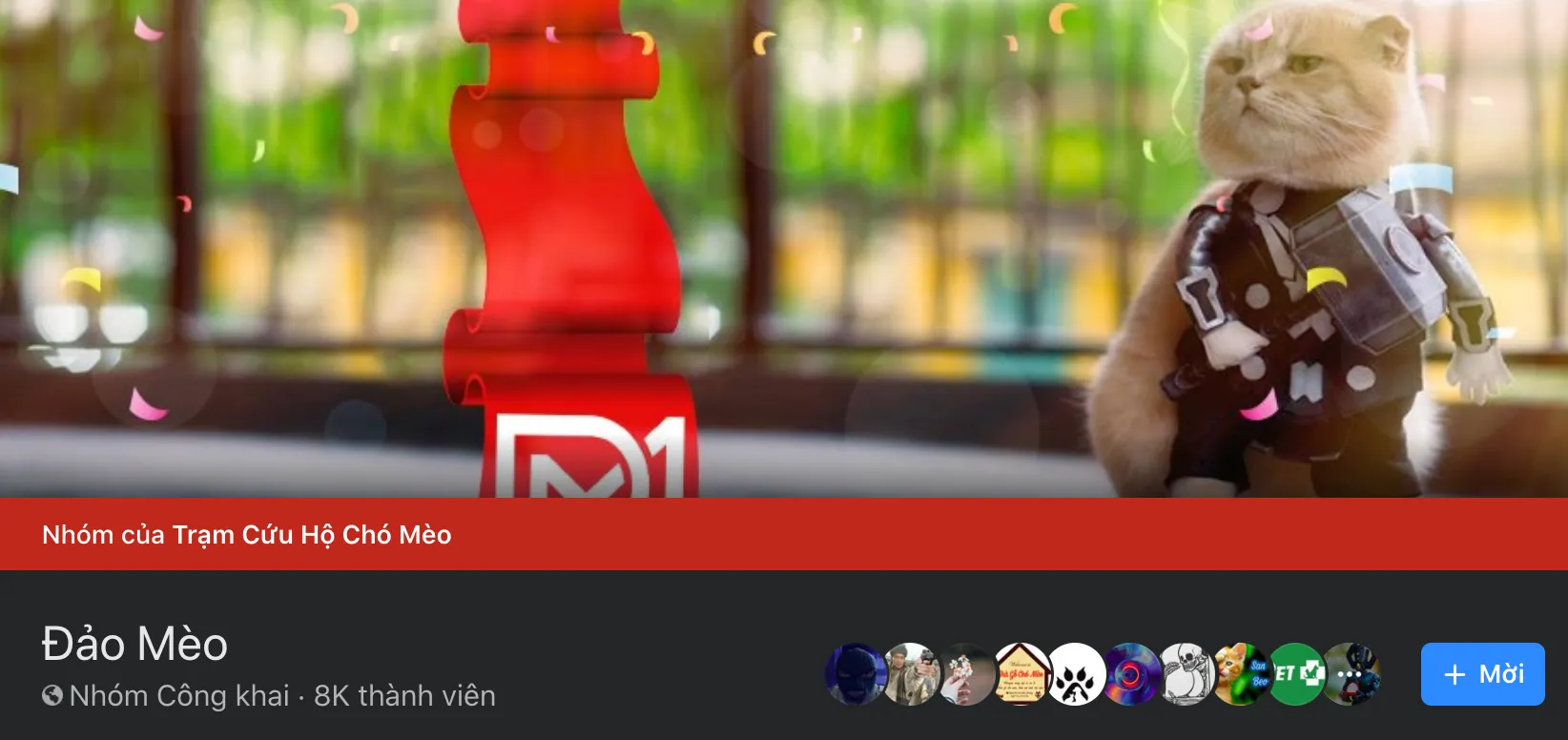 Hội nhóm uy tín như Đảo Mèo, Hội Yêu Mèo