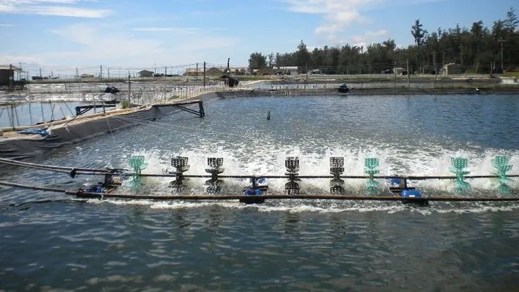 Đất nuôi trồng thủy sản được xếp vào nhóm đất nào?