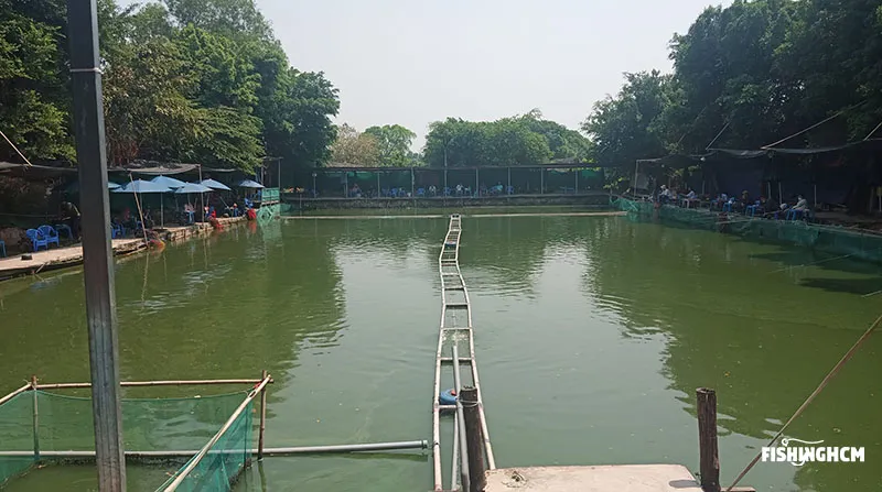 Các hồ câu cá quận 12