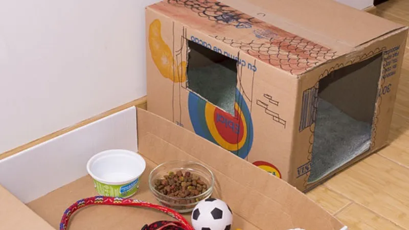 Chuẩn bị ổ ngủ an toàn, thoáng khí