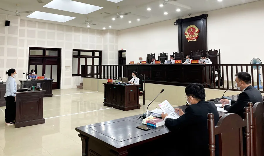 Kiểm tra, giám sát trong tố tụng hình sự là gì?