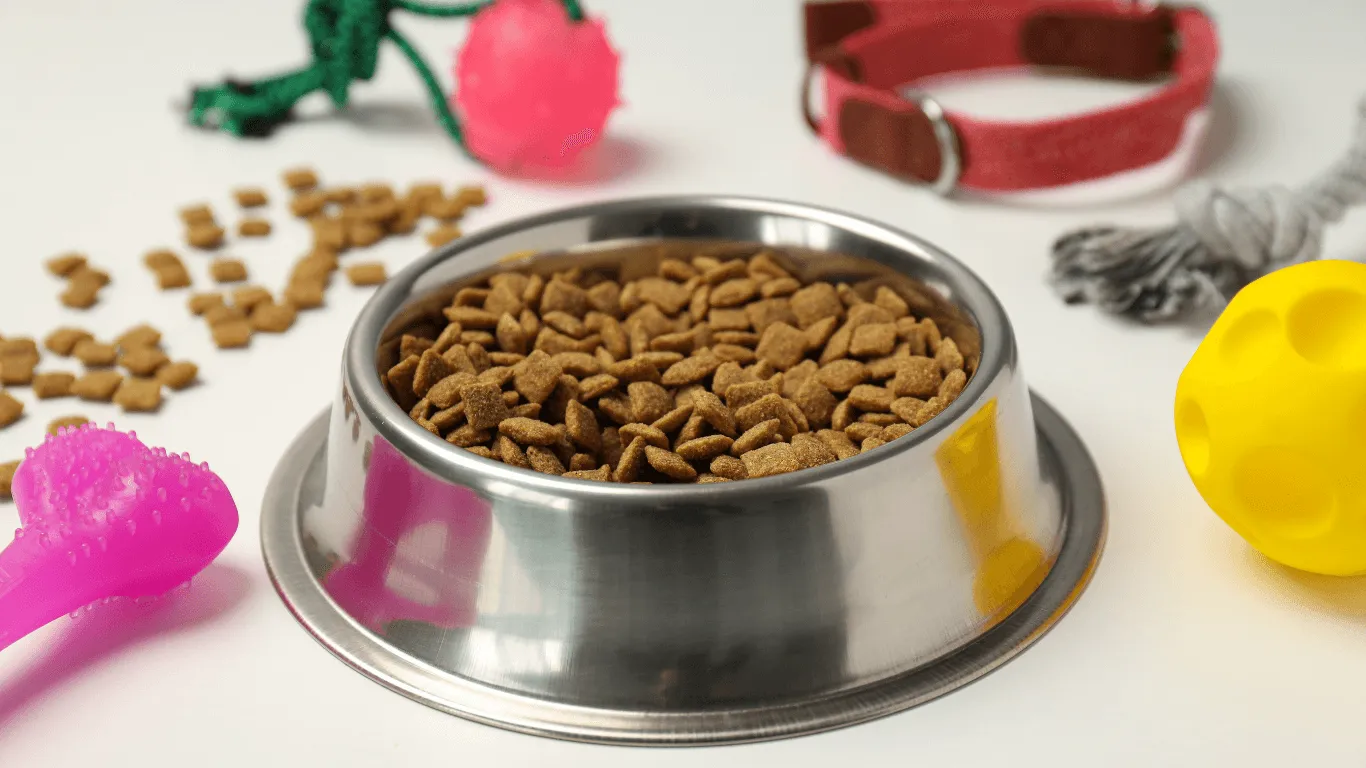 Thức ăn hạt dành cho mèo