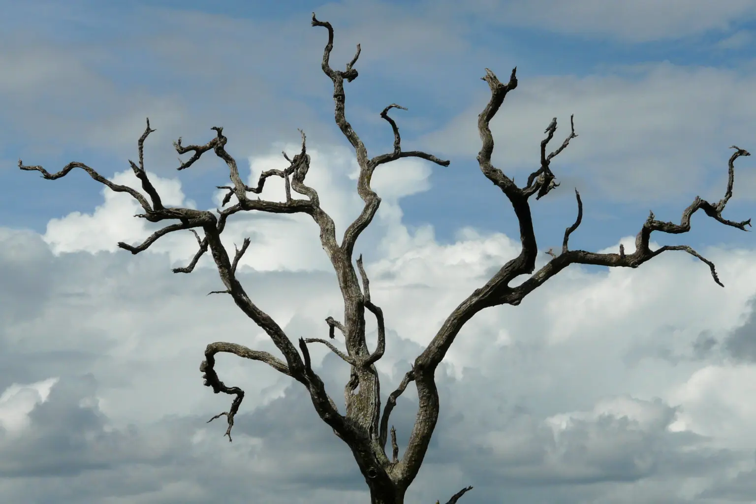 1.2. Lục diệu là gì?