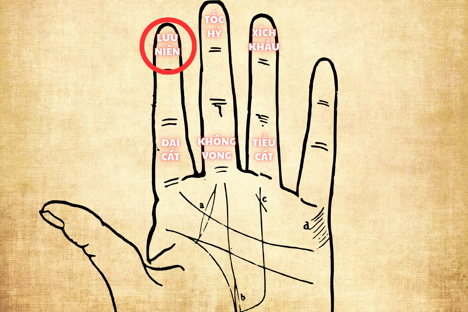 2.3. Cách tính giờ trong từng ngày