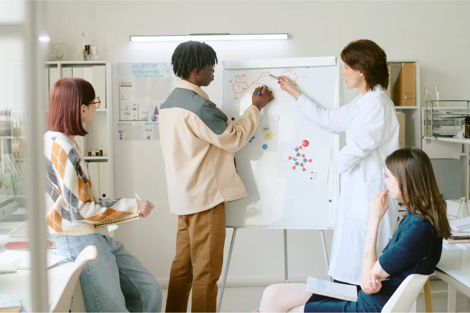 3.1. Nhóm Whorl (Đại Bàng – nhóm tư duy lý trí)